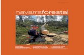 Navarra forestal 44 ok:N.FORESTAL 14 · matikoaren gaian eta ingurumen arloan. Gaur egun, gero eta ozenago entzuten da basoek benetako sendagai gisa egiten du-tela lan. Lasaigarri