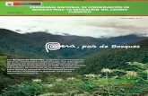 PROGRAMA NACIONAL DE CONSERVACIÓN DE BOSQUES PARA … · AÑO INTERNACIONAL DE LOS BOSQUES 2011 Los Bosques de Selva Alta, magníficos proveedores de servicios ambientales y biodiversidad,