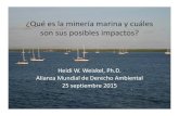 ¿Qué es la minería marina y cuáles son sus posibles impactos?defiendelasierra.org/wp-content/uploads/2015/10/que_es_la_mineria_… · ¿Qué es la minería marina y cuáles son