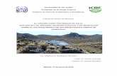 Universidad de los Andes Postgrado de Ecología Tropical ... · el 33% del agua contenida en los primeros 10 cm del suelo de la microcuenca y el fondo de valle con arbustales-rosetales