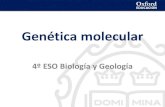 Presentación de PowerPoint - NaturaCascales€¦ · Genética molecular Clonación Es el proceso de obtención de copias idénticas a la muestra de un gen (clonación génica), o