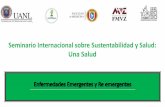 Una Salud - Universidad Autónoma de Nuevo Leóneventos.uanl.mx/seminario_sustentabilidad/presentaciones/... · 2019. 11. 11. · Blastosistis Criptosporidiosis Enfermedad de Chagas