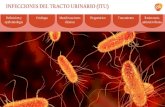 INFECCIONES DEL TRACTO URINARIO (ITU) · La infección del tracto urinario (ITU) se define como la presencia y multiplicación de microorganismos en la vía urinaria con invasión