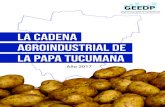 LA CADENA AGROINDUSTRIAL DE LA PAPA TUCUMANAproducciontucuman.gob.ar/wp-content/uploads/2017/11/informe-pap… · ducción es papa semilla, la cual será utilizada para la producción