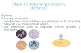 Clase 17: Microorganismos y defensas€¦ · Clase 17: Microorganismos y defensas Objetivos Conocer y comprender: • Los diferentes tipos celulares que participan en la Inmunidad