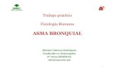 MARCRIS - por lo natural - ASMA BRONQUIAL...Epidemiología El asma bronquial se caracteriza por la contracción espásmica del músculo liso de los bronquiolos, lo que hace extremadamente