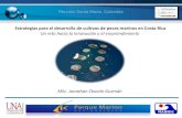 Presentación de PowerPoint - El Proyecto Larvapluslarvaplus.org/wp-content/uploads/3.-Charla-Jonathan-Chacon-Estrate… · Estrategias para el desarrollo de cultivos de peces marinos