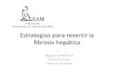 XVIII reunión Toremolinos, 31 mayo-2 junio 2018 Estrategias para … · 2018. 6. 13. · Estrategias para revertir la fibrosis hepática Miguel A v Wichmann Sº Enf Infecciosas Hosp