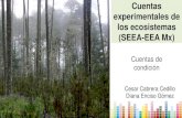 Cuentas experimentales de los ecosistemas (SEEA-EEA Mx) · 2018. 11. 22. · I. Las Cuentas del SEEA-EEA 1. Cuenta de extensión de los ecosistemas Cuentas en unidades físicas 2.
