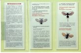 Ministerio de Agricultura y Ganadería · Orden: Coleoptera F.Coccinellidae Mariquita que se utiliza en proyectos de combate de plagas de cultivos contra co- chinillas, áfidos, escamas