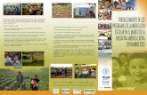 Brochure informativo proyecto Fortalecimiento de …Brochure informativo proyecto Fortalecimiento de los Programas de Alimentación Escolar en el marco de la Iniciativa América Latina