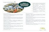 Línea estratégica 1 - mapa.gob.es · Directrices Voluntarias sobre Manejo del Fuego; ... siones de utilidad para los gestores forestales, así ... cia de los bosques ante el cambio