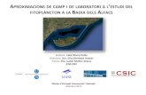 APROXIMACIONS DE CAMP I DE LABORATORI A L ESTUDI DEL ...digital.csic.es/bitstream/10261/101037/4/Viure_TFM_2011.pdf · APROXIMACIONS DE CAMP I DE LABORATORI A L’ESTUDI DEL FITOPLÀNCTON