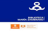 BIBLIOTECA MARÍA ZAMBRANO - Madrid · 2015. 10. 5. · BIBLIOTECA MARÍA ZAMBRANO 13 Cuenta con un fondo documental de 43.037 documentos.Los libros en formato tradicional conforman