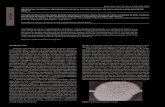 Artigo Orivaldo da Silva Lacerda Júnior, Rodrigo Marinho ... · Kang et al.,3 sintetizaram Al-MCM-41 a partir do metacaulim comercial por um método hidrotermal a 100 °C em 5 dias