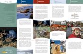Meseta Ibérica - Página Oficial del Patronato de Turismo de ......2016/11/23  · lagos profundos y ríos emblemáticos: la Reserva de la Biosfera Transfronteriza Meseta Ibérica