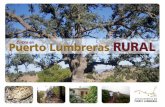 SITUACIÓN - Página Web oficial del Ayuntamiento de Puerto … · 2017. 6. 5. · La casa rural "La Cortijá de los Ciegos" está situada a 2km. de Puerto Lumbreras, en el Paraje