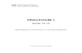 PRACTICUM I · 2014. 11. 5. · Practicum I, es el primer contacto del alumnado en prácticas con la realidad educativa en un centro escolar. El objetivo durante esta estancia se