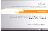 INFORME INVESTIGACIÓN ESPECIAL Empleo de la Región de ...transparencia_2010.sence.cl/docs/IE 16 - 2013.pdf · CONTRALORÍA REGIONAL DE MAGALLANES Y DE LA ANTÁRTICA CHILENA UNIDAD