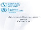 Vigilancia, notificación de casos y reporte Chikungunya...1 Normas y procedimientos para la vigilancia CIE-10 A 92.0 Chikungunya Detectar de manera oportuna casos de CHIK en las Américas.
