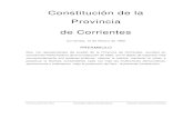 Constitución de la Provincia de Corrientesbiblioteca.municipios.unq.edu.ar/.../archivos/corrientes.pdf · 2009. 4. 17. · Constitución de la Provincia de Corrientes 4 Provincia