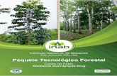 Publicación del Instituto Nacional de Bosques (INAB)mangomaps.inab.gob.gt/PTF_Swietenia_macrophylla_K..pdf · 2020. 6. 9. · iii 1. Presentación El Instituto Nacional de Bosques