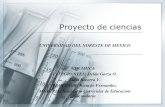 UNIVERSIDAD DEL NORESTE DE MEXICO QUIMICA … · 2009. 11. 19. · Bloque 3. La transformación de IOS materiales: la reacción quimica I. La reacción quimica 1.1. El cambia quimico