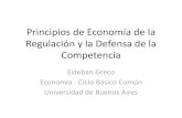 Principios de Economía, Regulación y Defensa de la …...Contenidos de la presentación 1. El mercado y la eficiencia - Fallas de mercado 2. Regulación de Monopolios Naturales 3.