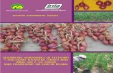 INSTITUTO NACIONAL DE INVESTIGACIÓN Y …repositorio.inia.gob.pe/bitstream/inia/1017/1/Nicho...El cultivo de la cebolla roja representa una alternativa dentro de los cultivos tradicionales