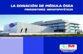 LA DONACIÓN DE MÉDULA ÓSEA - UCMpsicologia.ucm.es/data/cont/docs/29-2013-09-05... · 3.1- Médula ósea La médula ósea se obtiene en un quirófano, en condiciones estériles,