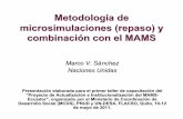 Metodología de microsimulaciones (repaso) y combinación con el … · 2011. 11. 3. · Método “Paes de Barros y otros ” Estructura del mercado de trabajo (λ) en función de