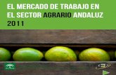 el mercado de trabajo en el sector agrario andaluz 2011 · El estudio analiza en primer lugar la evolución que ha sufrido el mercado de trabajo del sector agrario en 2011, a través