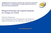 Requerimientos de capital basado en riesgo en Chile · -Capital Basado en Riesgo. -Patrimonio que resulta de la aplicación de factores asociados a los riesgos técnicos, de mercado