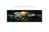 Pilar Pequeño PLANTAS/FLORES/FRUTAS...Bodegón con plato de ciruelas y uvas 2006 PLANTAS/FLORES/FRUTAS, siempre fue así en la tradición clásica del bodegón o naturaleza muerta