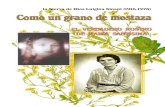la Sierva de Dios Luigina Sinapi (1916-1978) · 2012. 1. 9. · Después de esa visión, el primer sábado de cada mes y en las fiestas marianas, la Stma. Virgen, precedida por músicas