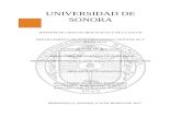 Herbario de la Universidad de Sonora (USON) | Departamento ... · Web view100100UNIVERSIDAD DE SONORA DIVISIÓN DE CIENCIAS BIOLÓGICAS Y DE LA SALUD DEPARTAMENTO DE INVESTIGACIONES