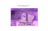 Algebra VectorialUnidad 1: Algebra vectorial - 1 - 1. INTRODUCCIÓN En el primer curso de Cálculo, se trataron muchos conceptos fundamentales del Análisis Matemático, conceptos