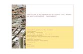 PROJECTE D'INTERVENCIÓ INTEGRAL DEL BARRI DE SANTA …eldimoni.com/vella/docs/intervencio_programa_se-cgp_v3.pdf · futur parc de les hortes de Santa Eugènia i l'arranjament medi