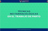TÉCNICAS NO FARMACOLÓGICAS EN EL TRABAJO DE PARTOherramientasparteria.org/documentos/tecnicas_no... · 2020. 1. 29. · TÉCNICAS NO FARMACOLÓGICAS EN EL TRABAJO DE PARTO La vigilancia