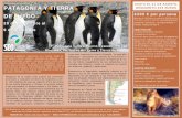 Excursiones y Viajes 2018 PRECIOS FECHAS Y PROGRAMA PRELIMINARES. PATAGONIA … · 2018. 7. 17. · la Patagonia, permitiendo así un rápido acercamiento a las aves de aquellos lugares