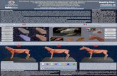 ESTUDIOS PRELIMINARES MEDIANTE DIGITALIZACIÓN 3D PARA … Bogotá.pdf · 2018. 11. 4. · planos anatómicos Pintura digital de la cabeza Acoplamiento de la cabeza-cuello 2 ... •
