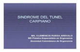 SINDROME DEL TUNEL CARPIANO - CONSULTORSALUDANATOMIA DEL TUNEL CARPIANO 9 Tendones flexores y el Nervio Mediano MCRueda FISIOLOGIA DEL TUNEL 94% F Sensitivas 6% F Motoras PRESION NORMAL