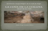 LA COVA DE LA COLLITA - Ràdio Vall de Segóradiovalldesego.com/wp-content/uploads/2016/11/La-Cova...BAIXANT DE LA COVA DE LA COLLITA Associats amb la Font del Codoval, hi ha dos jaciments