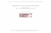 Lagartija balear – Podarcis lilfordi (Günther, 1874)digital.csic.es/bitstream/10261/109156/5/podlil_v4.pdf · 59 a 91 contadas en un anillo en el centro del cuerpo. Ventrales dispuestas