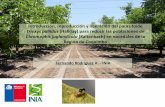 Presentación de PowerPoint...Feb 2013 INIA Intihuasi Proyecto Corfo “Difusión y Transferencia en Manejo Integrado de Plagas en Huertos de Nogales” en Choapa SAG cede dos partidas