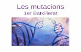 Les mutacions - No-IPcosmolinux.no-ip.org/recursos_aula/BIO1erBAT/Genetica_molecular/… · • Una manera com poden aparèixer individus triploides és per fecundació d'un ovul