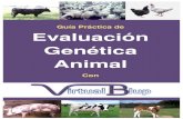 Guía práctica de evaluación genética animal con VirtualBlupa Práctica de... · 2016. 5. 16. · Guía Práctica de Evaluación Genética Animal con VirtualBlup Versión digital