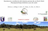 Presentación de PowerPointclacs.org/presentaciones/2-PresentacionesOrales/88.pdf · 2019. 12. 18. · Los ciclos de compactación inducen una deformación acumulativa del suelo,