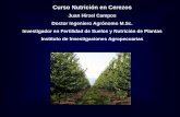 Sin título de diapositiva...Curso Nutrición en Cerezos Juan Hirzel Campos Doctor Ingeniero Agrónomo M.Sc. Investigador en Fertilidad de Suelos y Nutrición de Plantas Instituto