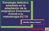 Estrategia didáctica adoptada en la adaptación de la ...webs.ucm.es/centros/cont/descargas/documento3694.pdf · Estrategia didáctica adoptada en la adaptación de la asignatura